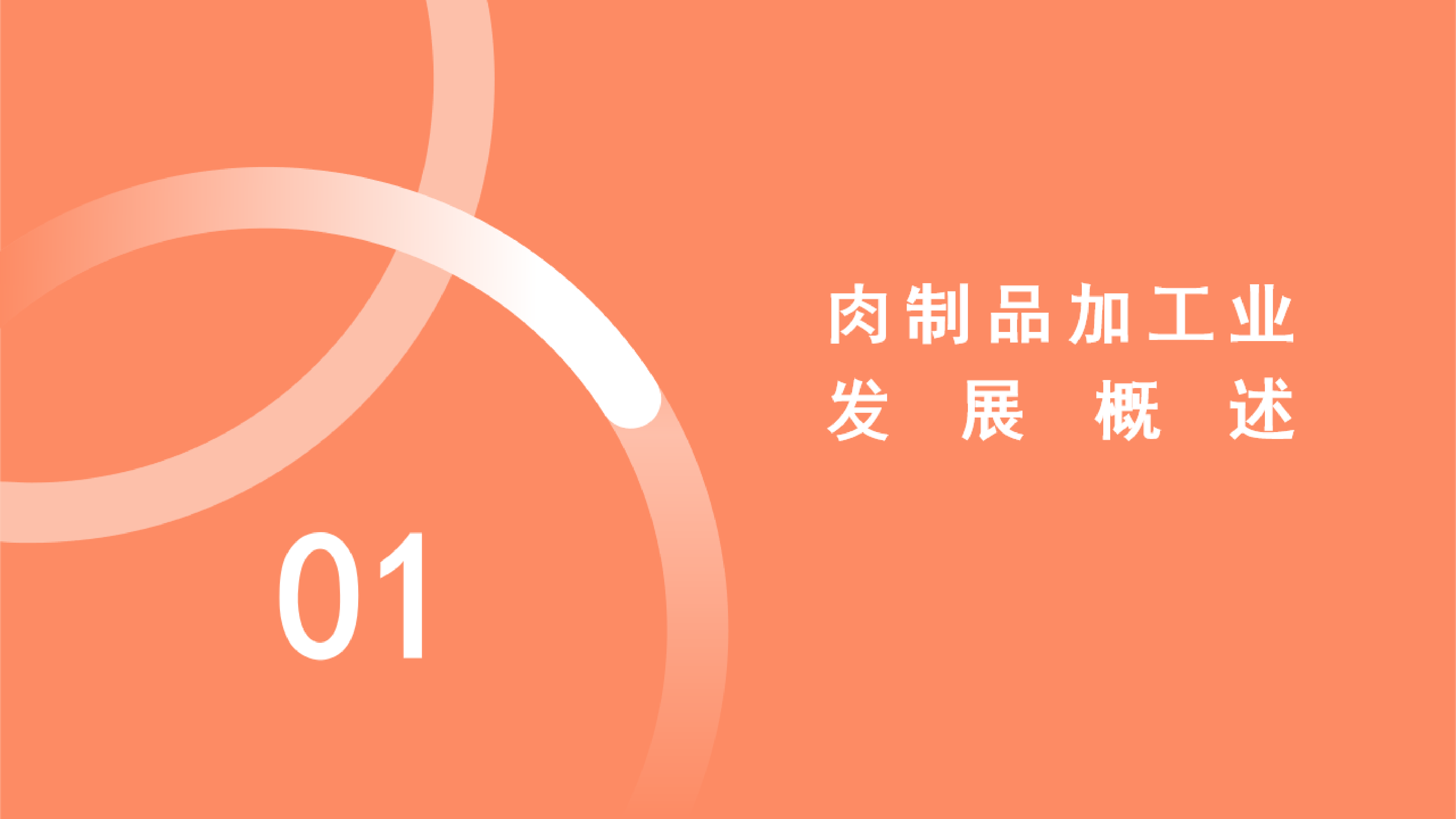 食品伙伴网2024中国肉制品加工业发展报告精简版43页